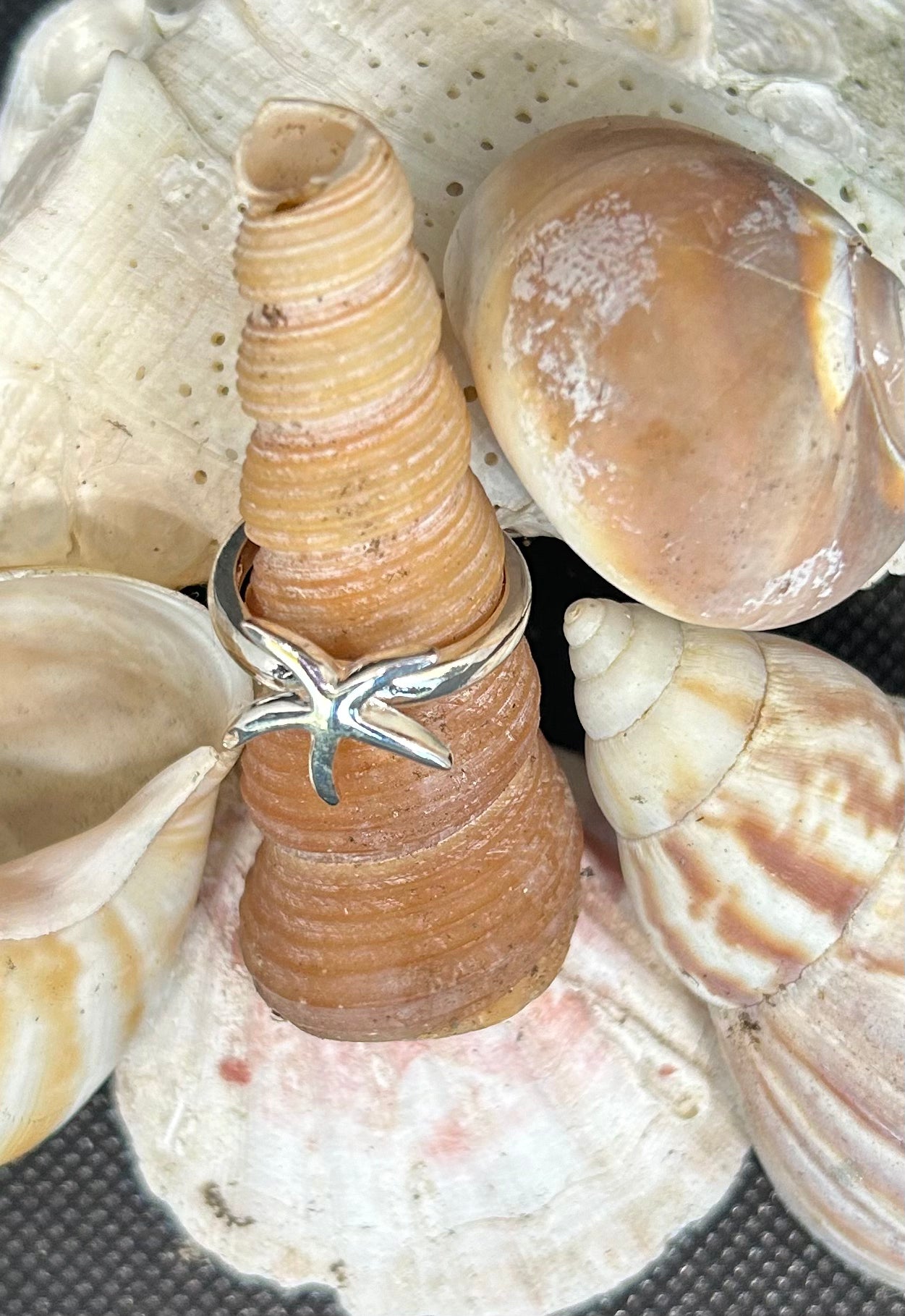 Anillo de acero de ley con forma de estrella de mar